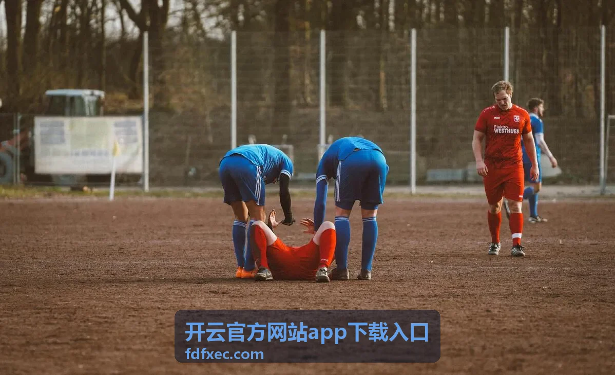 开云官方网站app下载入口版本与功能说明页面首屏图示