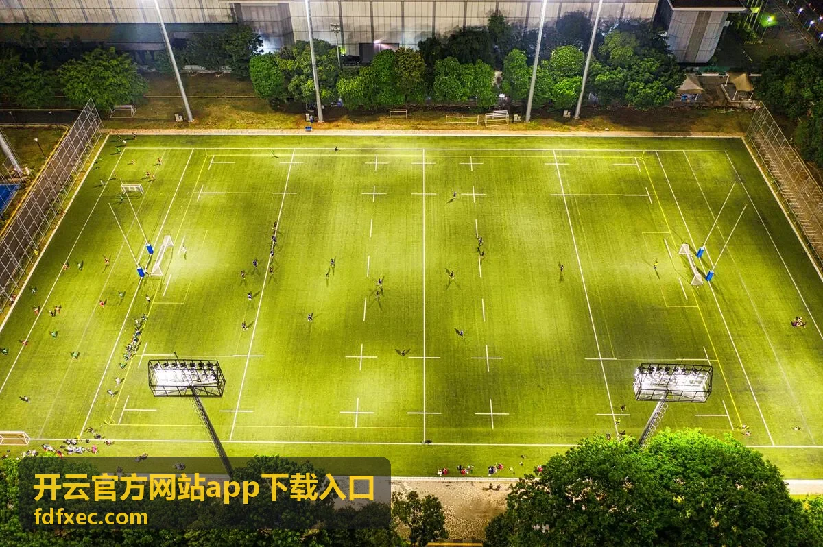 开云官方网站app下载入口账号注册与安全封面