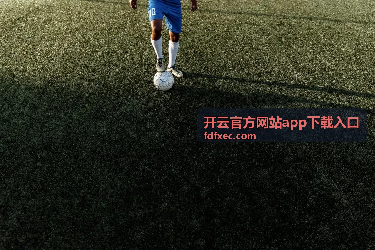 开云官方网站app下载入口个人数据与使用记录面板